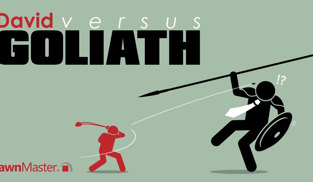 David vs. Goliath: What does a sustainable business model look like?